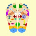 Foot reflexology chart